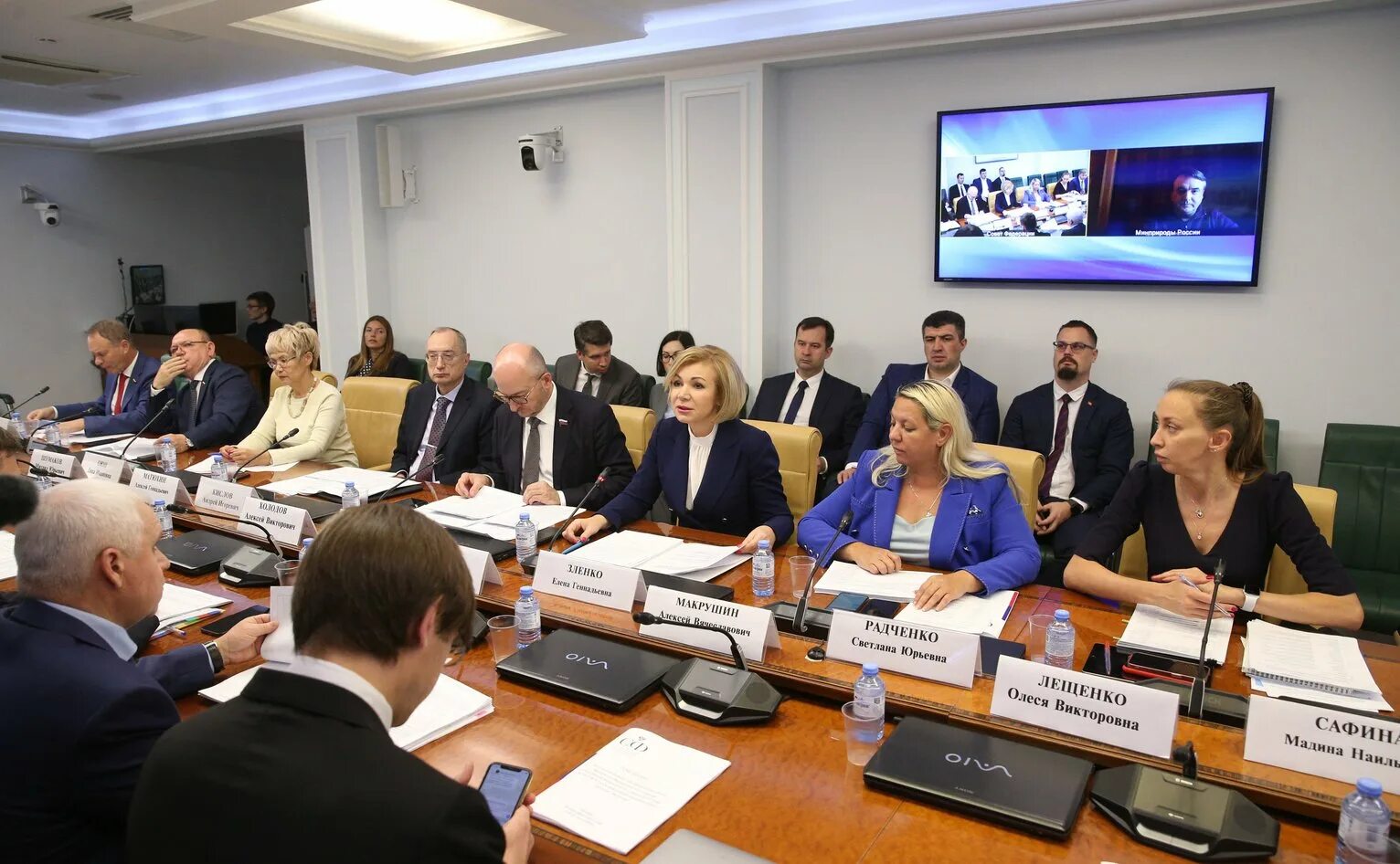 роо содействие