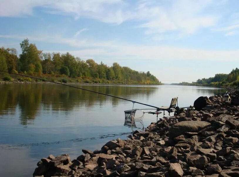 Канал имени москвы рыбалка. Река Городня рыбалка. Канал им Москвы рыбалка. Канал им.Москвы рыба.