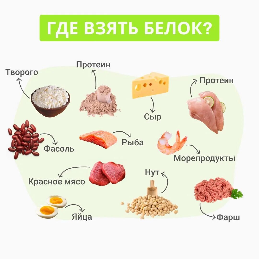 Лучшие источники белков. Источники белка. Пищевые источники белка. Основные источники белка. Лучший источник белка.