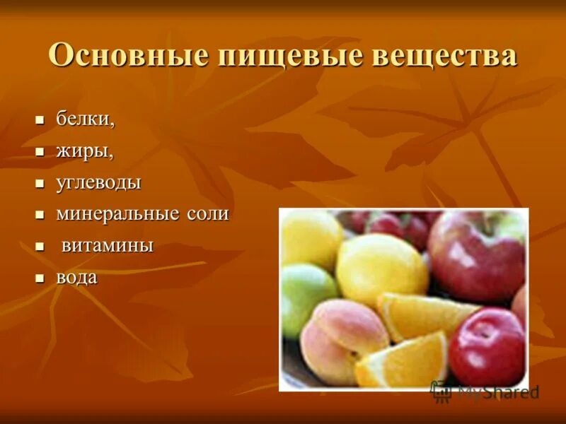 главные питательные вещества. основные питательные вещества пищи. пищевые питательные вещества. главные питательные вещества. главные питательные вещества.