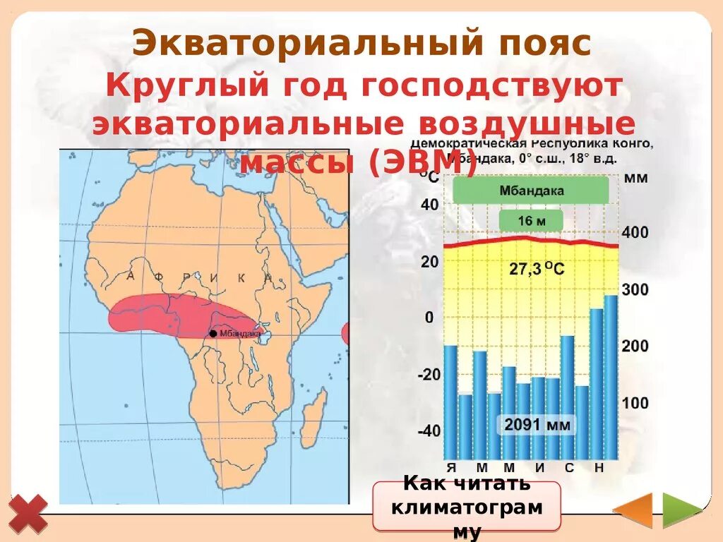 Климатограммы климатических поясов Африки. Климатограмма тропического пояса Африки. Экваториальный климатический пояс. Экваториальный пояс климатический пояс. Режим осадков экваториального