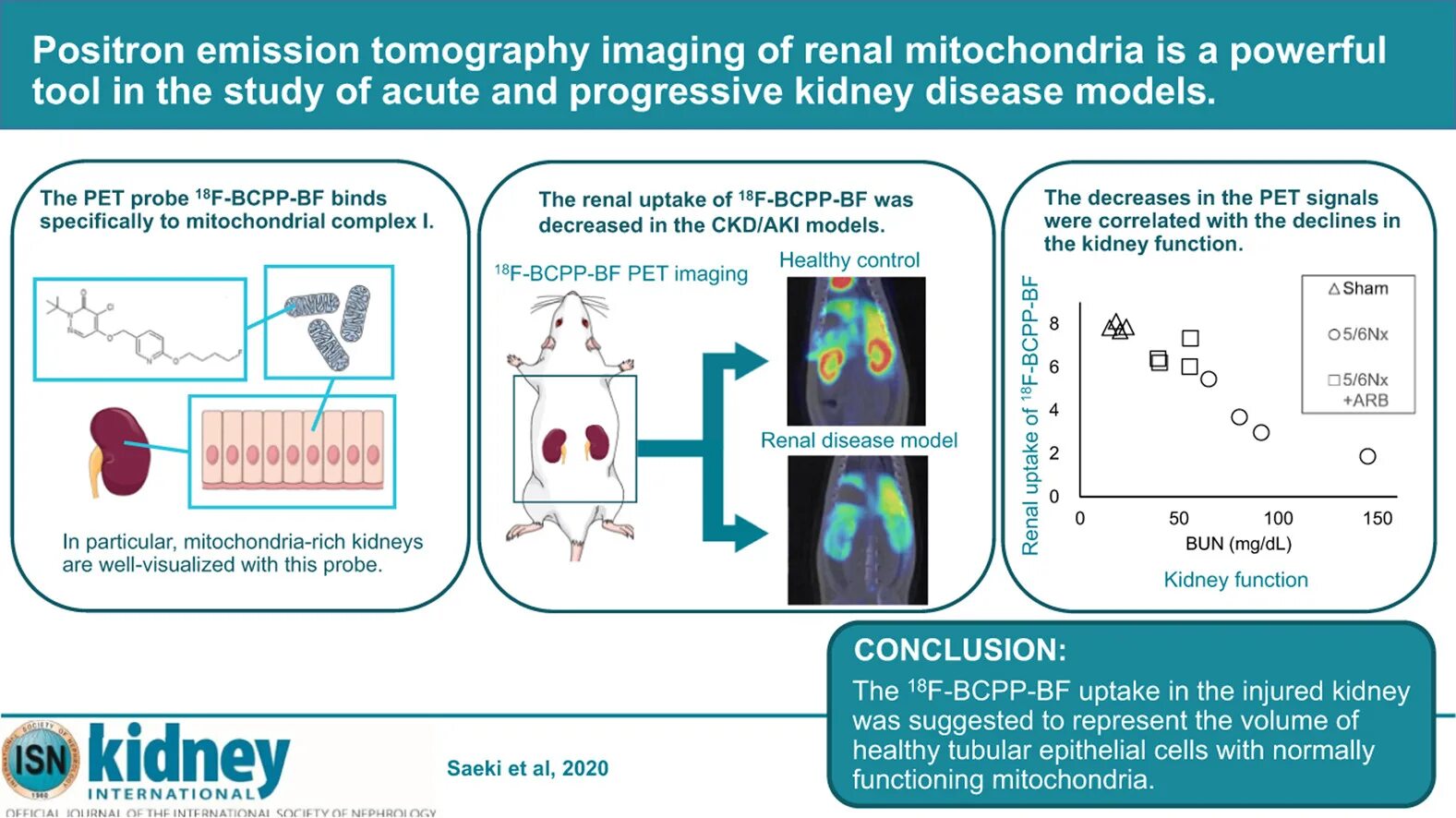 Позитрон личный кабинет. Positron emission tomography. Positron emission tomography research. Ligand-based Positron emission tomography.