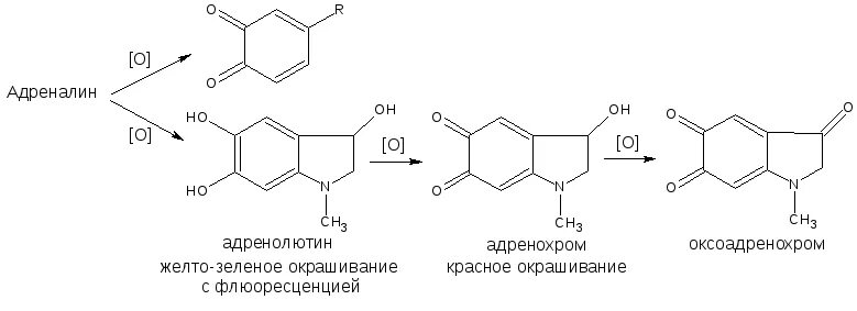 Адреналин карта. Окисление адреналина до адренохрома. Оксоадренохром. Хиноидное окисление. Реакция окисления адреналина.