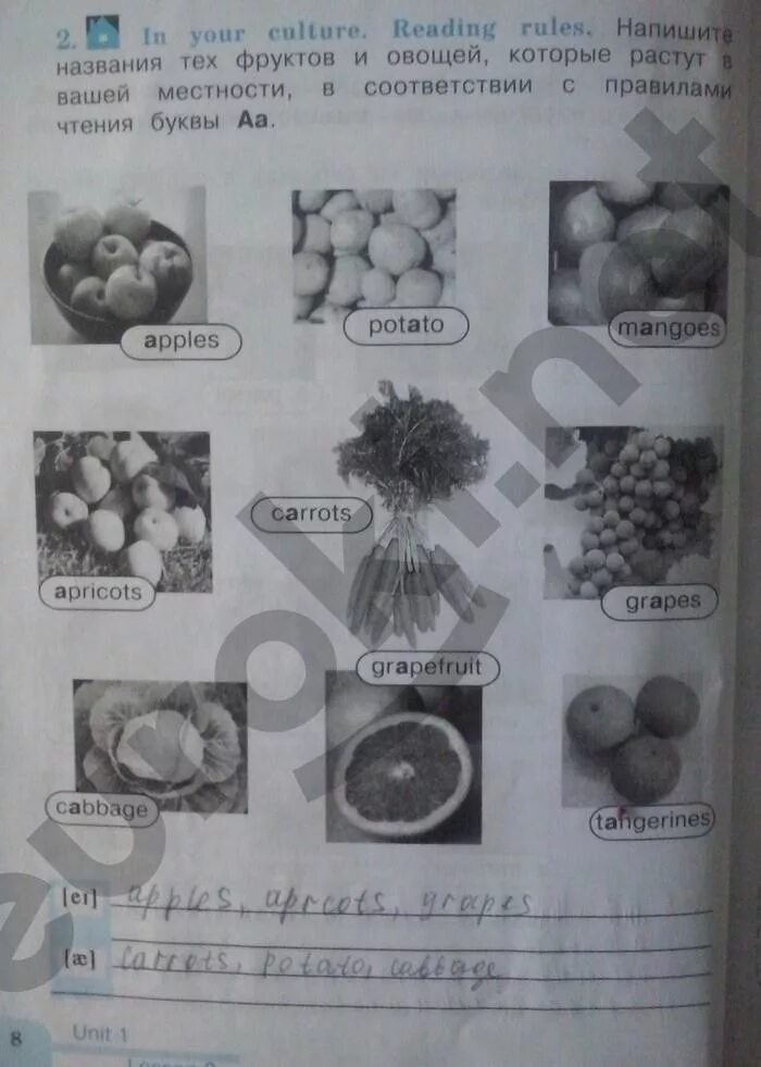 Английский язык 3 класс рабочая тетрадь стр 8. Английский язык 3 класс рабочая тетрадь стр 8 рабочая тетрадь. Английский язык 3 класс страница 8. Английский язык 3 класс рабочая тетрадь стр 8 номер 1. Английский язык 8 класс рабочая тетрадь лапа