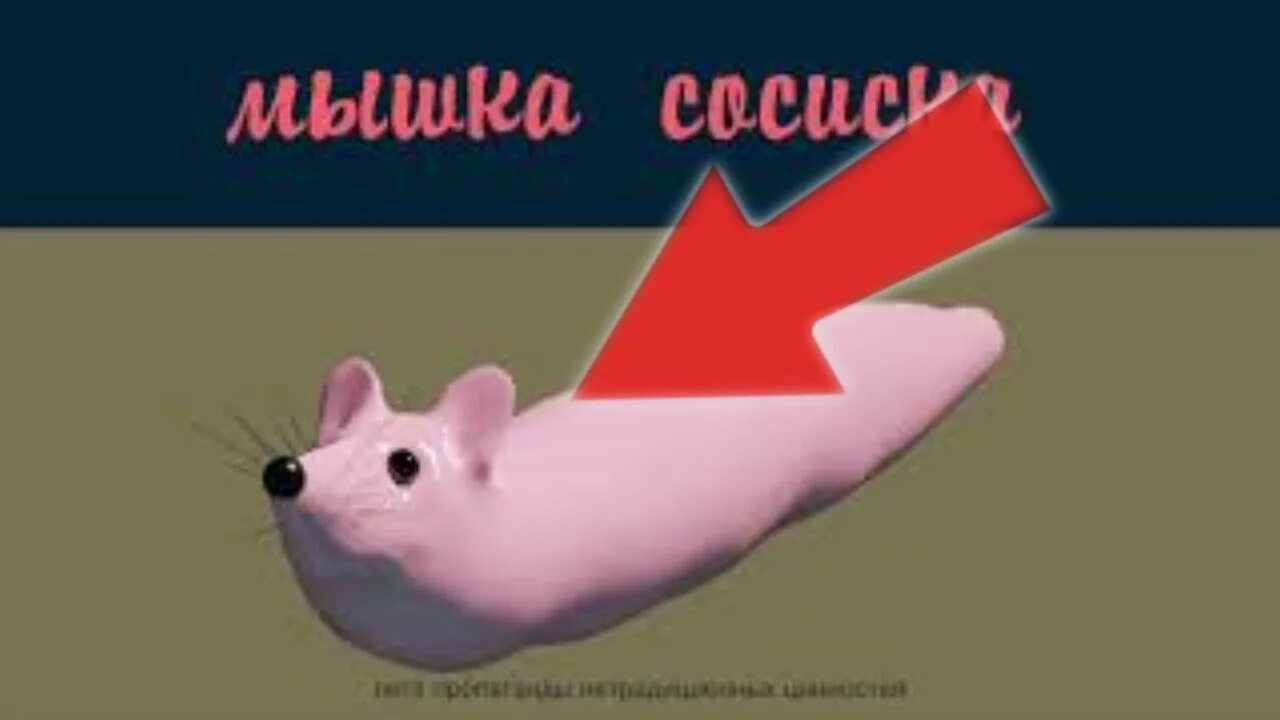 Слушать песню мышка сосиска. Мышка сосиска. мышка сосиска в реальной жизни. мышка сосиска мем. тутити тутутити мышка сосиска.