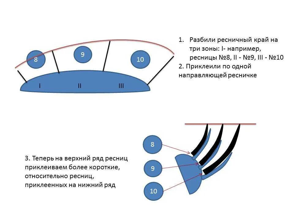 Рядность в наращивании ресниц схемы. Схема постановки ресниц при наращивании. Направление в наращивании ресниц схемы. Переход длин в наращивании ресниц.