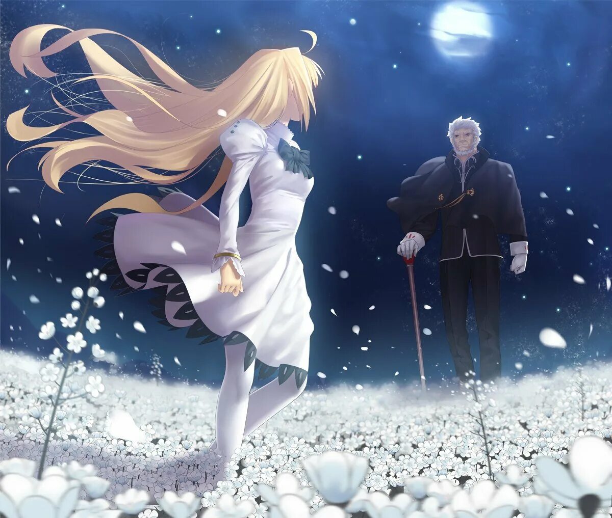 Лунная принцесса ремейк. Арквейд fate. Лунная принцесса ремейк. Лунная принцесса фэнтези. Shingetsutan tsukihime лунная принцесса.
