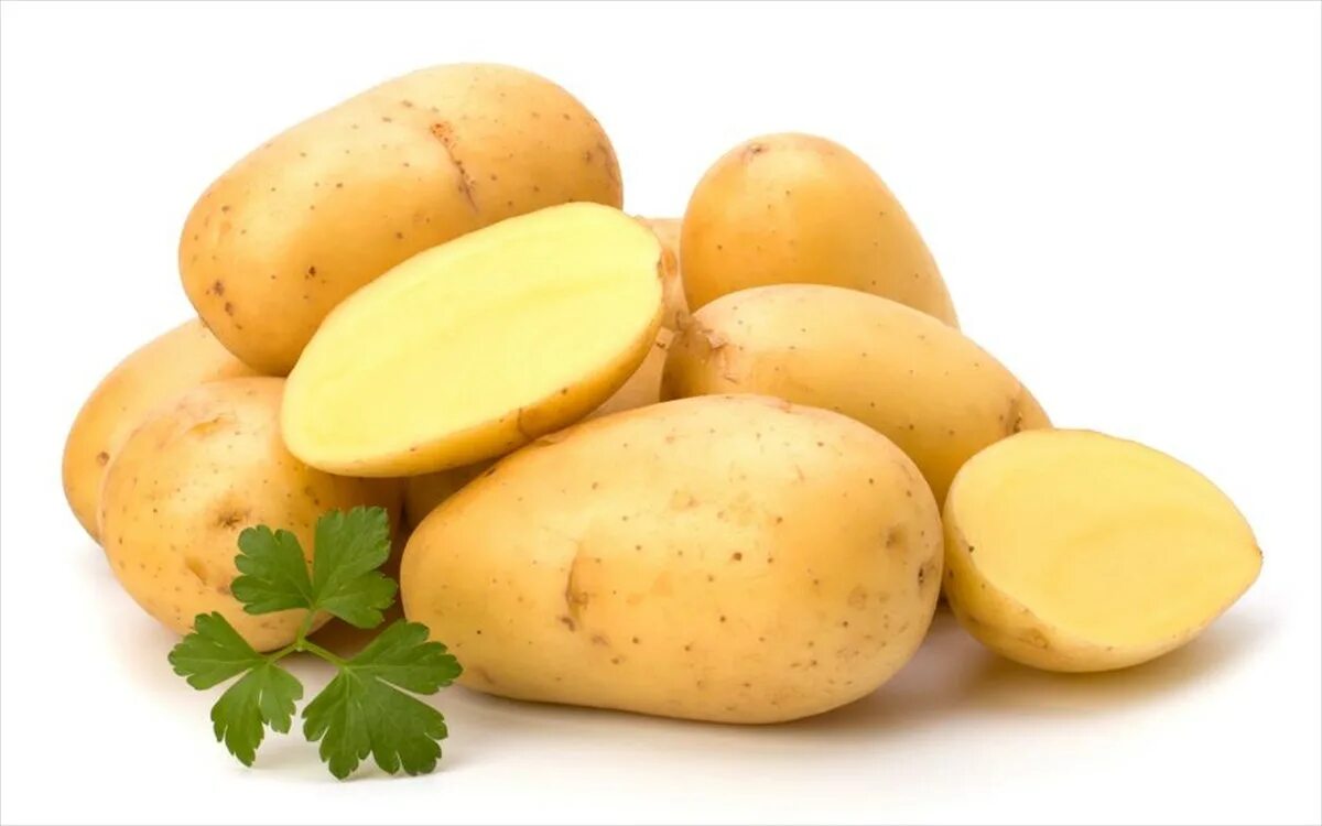 Картошка туц тудуц. Зарачка сорт картофеля. картофель на белом фоне. белая картошка. картофель молодой на белом фоне.