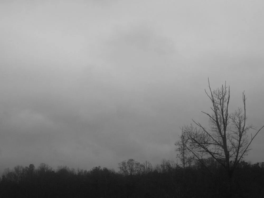 And the sky is grey. Cold grey sky. sad grey sky. painful grey sky.