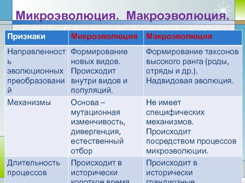 Микроэволюция. Микро и Макроэволюция. Микроэволюция и Макроэволюция. Процессы микроэволюции.