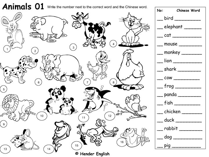 Задания английский английский животные. 1 Класс английский задание животные. Английский язык животные задания. Животные на английском задания.
