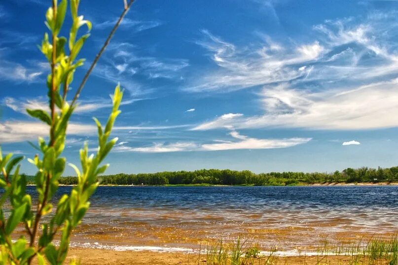 Природа реки волга. Волга река. Лето Волга Балаково. Природа Волга Балаково. Река Волга лето.