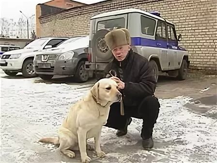 Кинологический лагерь. Кинолог орехово зуево. Кинолог орехово зуево. Кинолог татьяна васьковская. Кинологическая служба мчс россии.