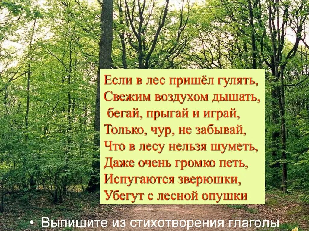 Если в лес пришел гулять. Если ты пришел в лес. Цитаты про лес. Если в лес пришел гулять стихотворение.