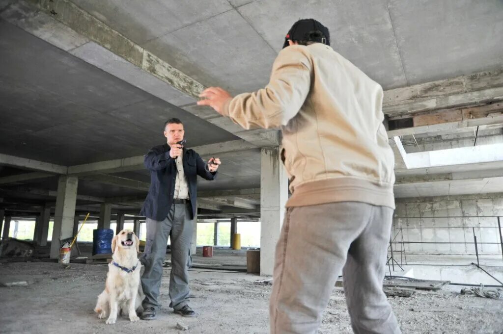 собачья работа двд. работа 2012. собачья работа. книга собачья работа. собачья работа 2012 двд.