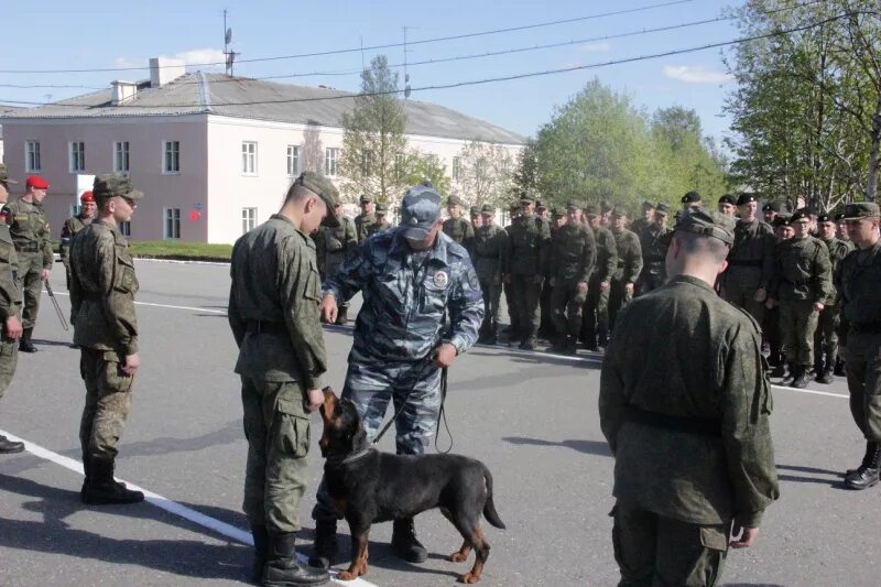 Военная часть 62834. Оленегорск Военная часть. Военная полиция Оленегорск. Военнослужащие Оленегорского гарнизона. Оленегорск военная