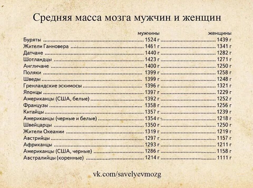 Вес мозга по странам. Средняя масса мозга. Размер мозга у разных народов.