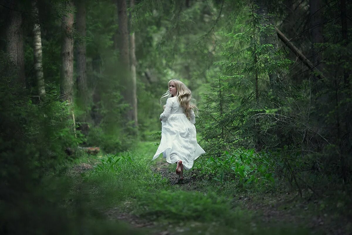 В лесу полно белых. Человек в сосновом лесу. Лесные цветы. Лесная поляна. Еловый лес поляна.