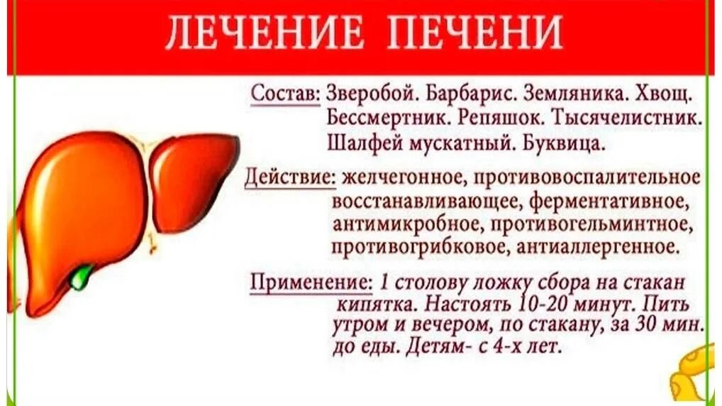 Лечение печени в домашних условиях народными. Гепатит народными средствами. Лекарство для печени.