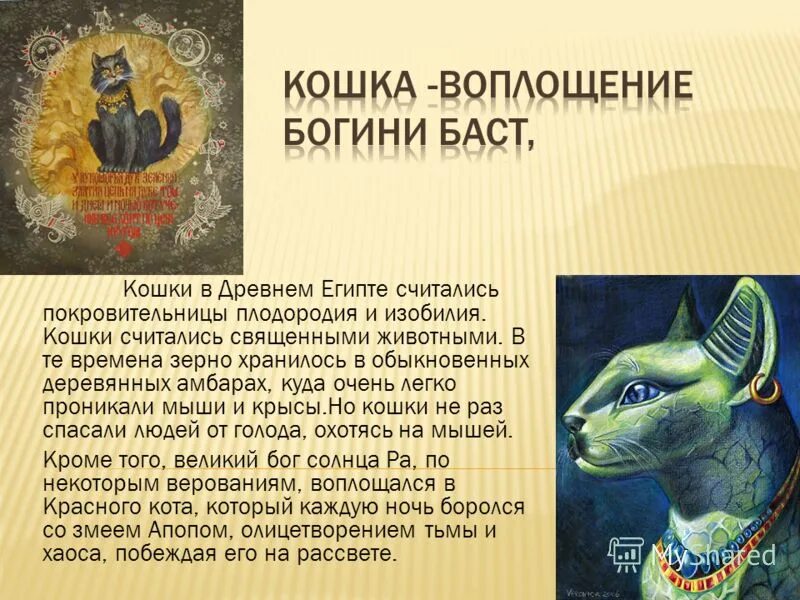 Кошка священное животное в древнем египте. Кошки в египте. Священные животные древнего египта. Священные животные древнего египта. Кошка священное животное египта.