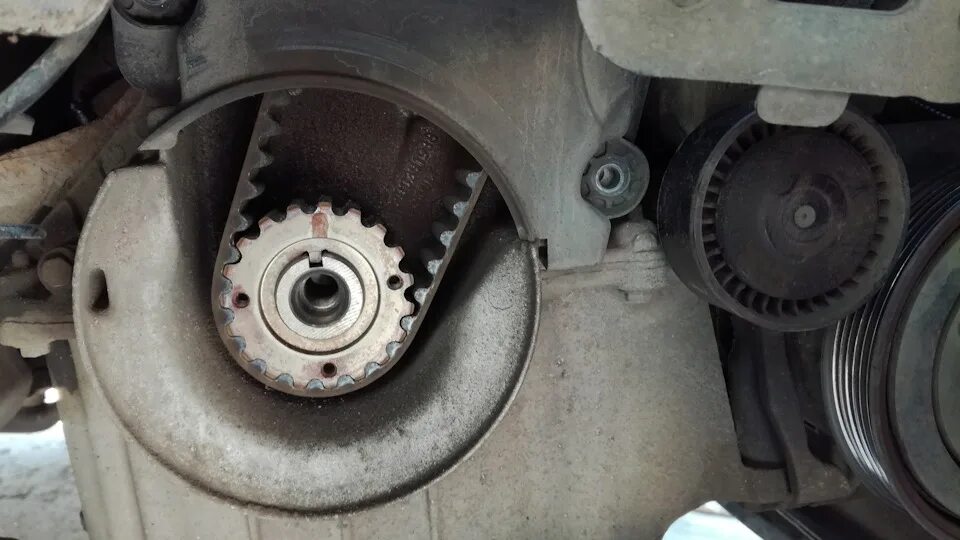 Грм логан 1. Ремень грм рено симбол 1. 4 16. 4 16v. Грм симбол.