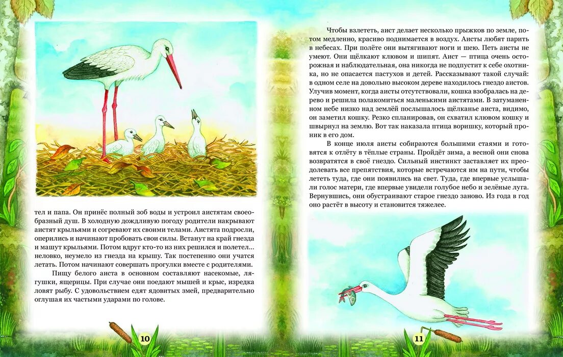 Гнездо для аиста ягодкин. Круглое гнездо аиста как большая серая ватрушка лежит на дереве. Ягодкин гнездо для аиста краткое содержание. Гнездо аиста. Аист в гнезде нейросеть.