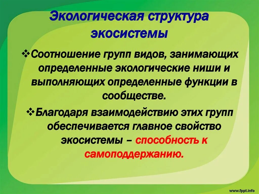 Организация экосистем презентация 9 класс. Структура экосистемы. Экологическая структура экосистемы. Структура экологической системы. Структура экосистемы пространственная видовая экологическая.