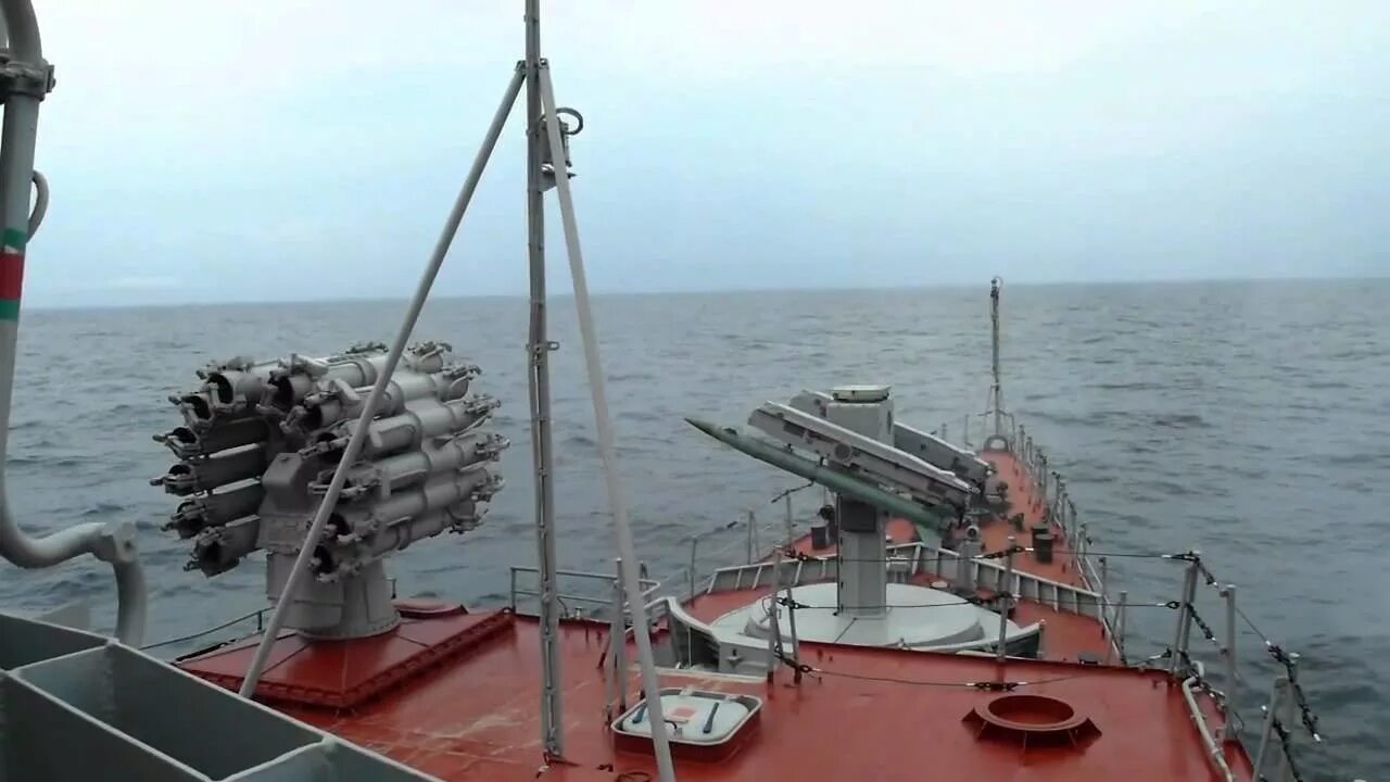 Зиф 122 корабельная пусковая. Оса аммофила личинка. Пу оса. Пу оса. Оса к92.