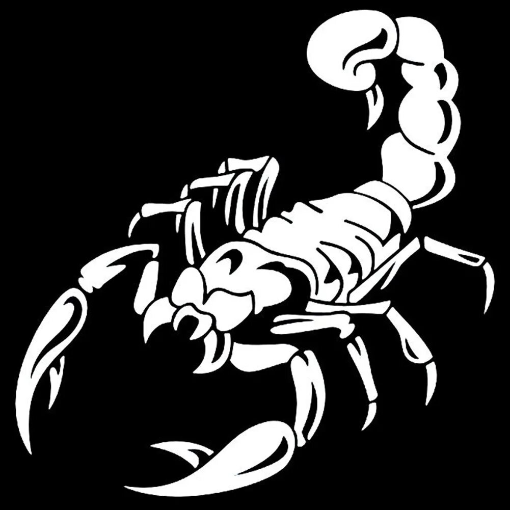 Scorpion white