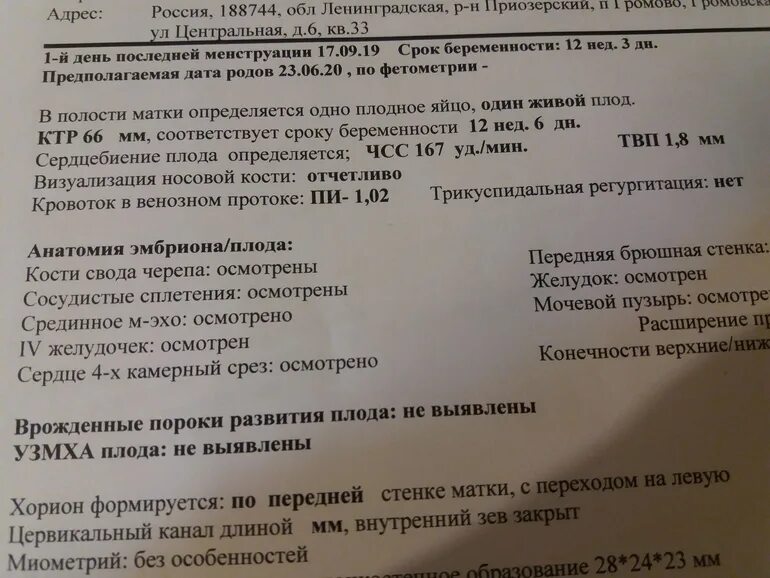 Узи при беременности сколько раз. 1 Й скрининг как делают. Первый скрининг при беременности форум. 2й скрининг в какие.