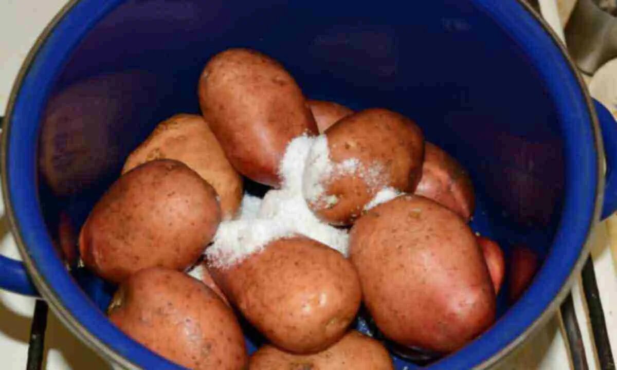 Картофель варится. Картошка в мундире. Варка картошки в мундире. Над картошкой в мундире.