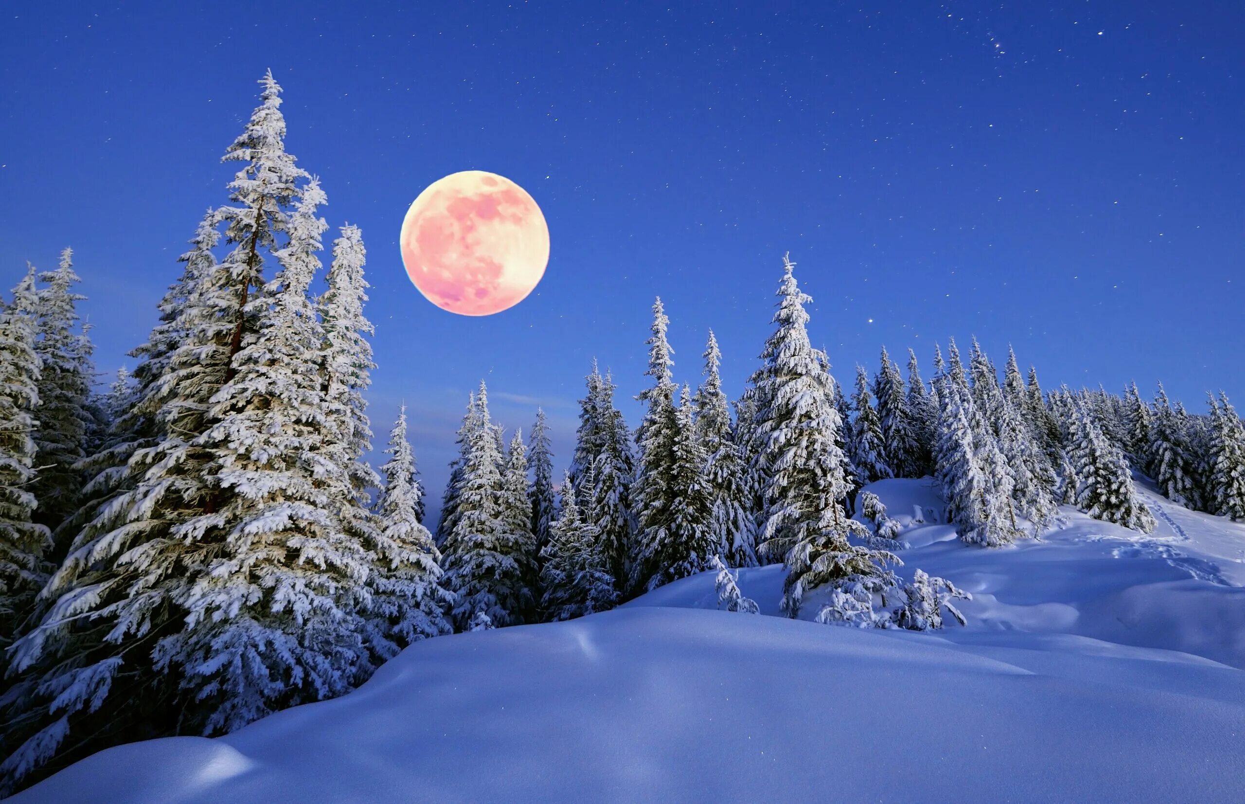 Луна зимой. Луна снег. Месяц зимой на небе. Полнолуние зима. Полный месяц январь