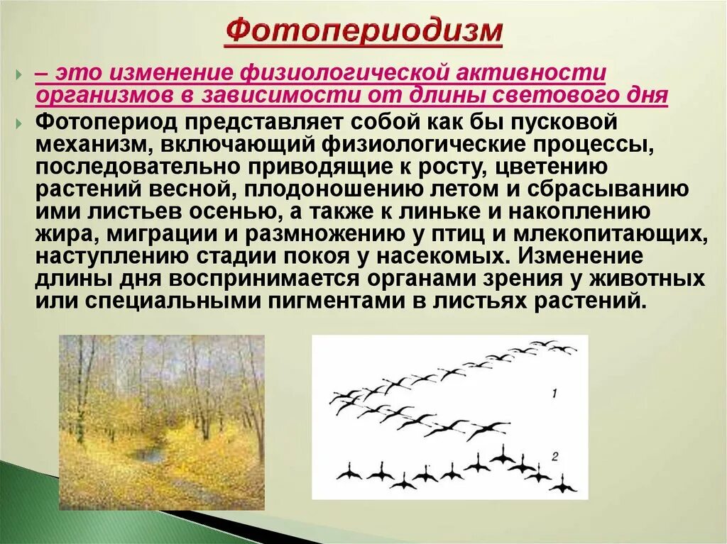 Происходит в течение нескольких