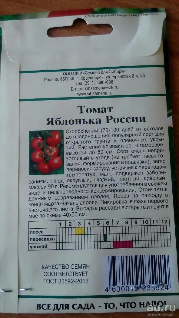 Сорт томата яблонька россии отзывы. Сорт помидор Яблонька. Семена томата Яблонька России описание. Томаты сорт Яблонька России. Яблонька России томаты рассада.