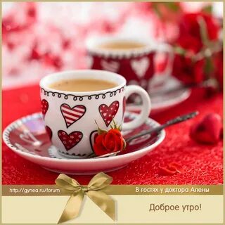 Утро 14 день