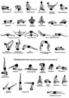 Sample yoga postures  Download Scientific Diagram