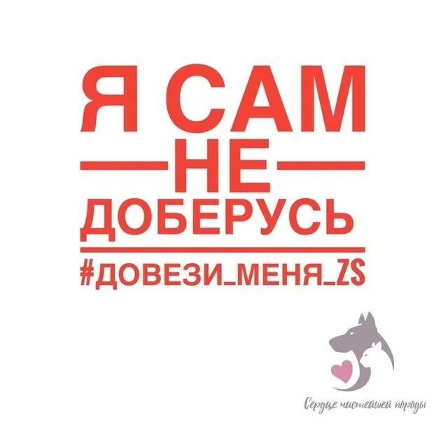Я тебя так довезу что тебе. Я тебя так довезу что тебе