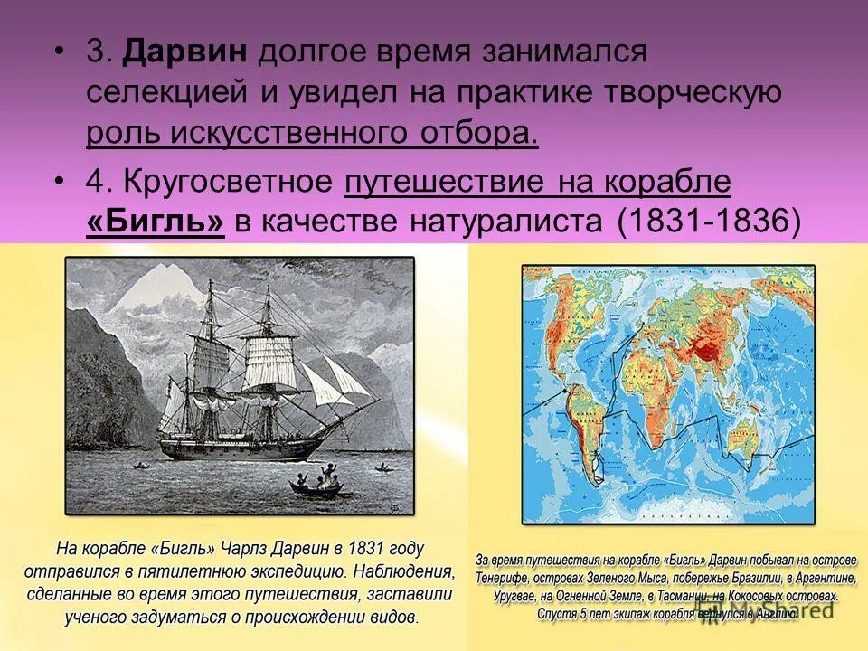 Дарвин кругосветное путешествие Бигль. Кругосветное путешествие Дарвина на корабле Бигль. Дарвин путешествие на корабле Бигль наблюдения. Путешествие и открытие Чарльза Дарвина. Ч дарвин кругосветное путешествие