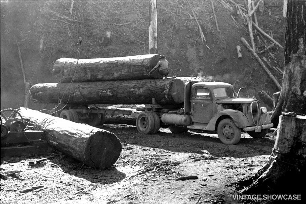 Logs railcar. Поздняков 1898 лесорубы. Old giant logging truck. American old logger yarder. Бревно фото.