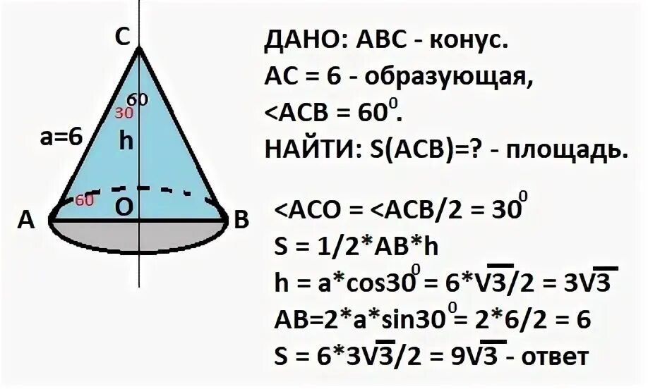 Углы при образующей равны