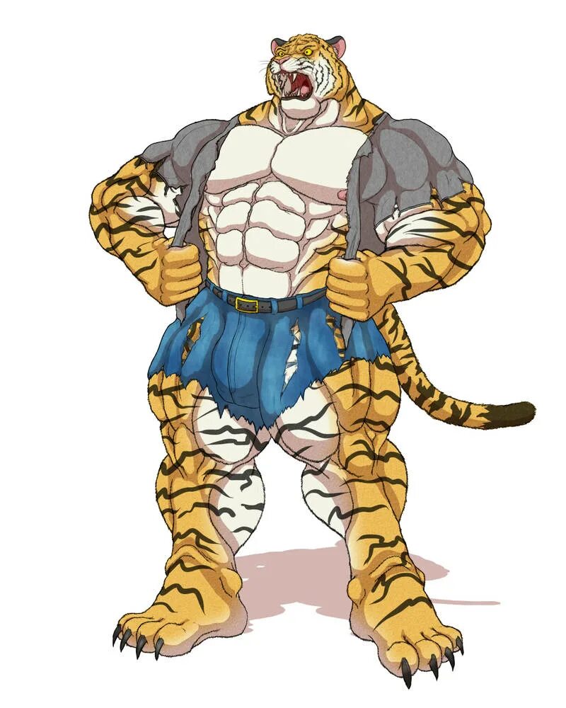 Tiger muscle. Мускулы тигрица. Furry тигр bara. Tiger muscle. Фурри тигрица.