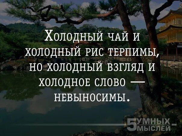 Улицы холодный слова. Холодный чай и холодный рис терпимы но холодный. Цитата про холодный взгляд. Цитаты про взгляд. Холодные слова.