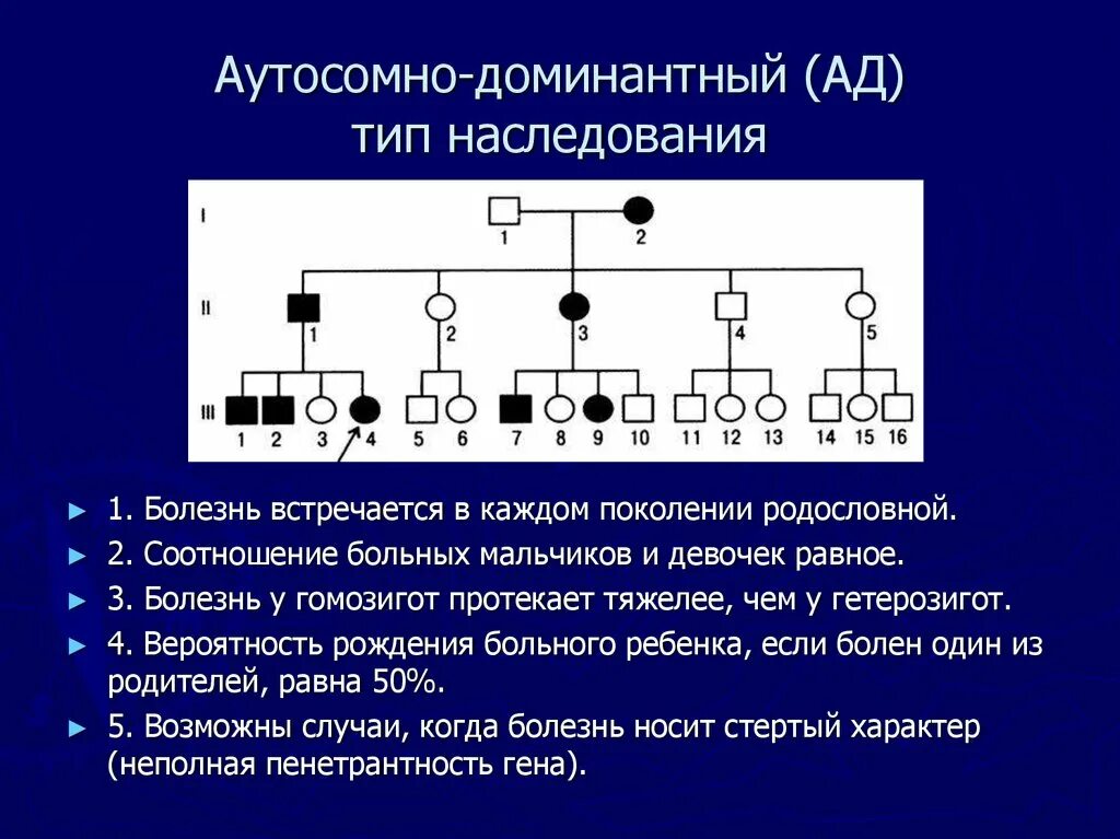 Родословная генетика аутосомно доминантный. Родословная с аутосомно-доминантным типом. Схема родословной на аутосомно-доминантный Тип наследования. Аутосомный рецессивный Тип наследования родословная. Группа крови признак рецессивный доминантный