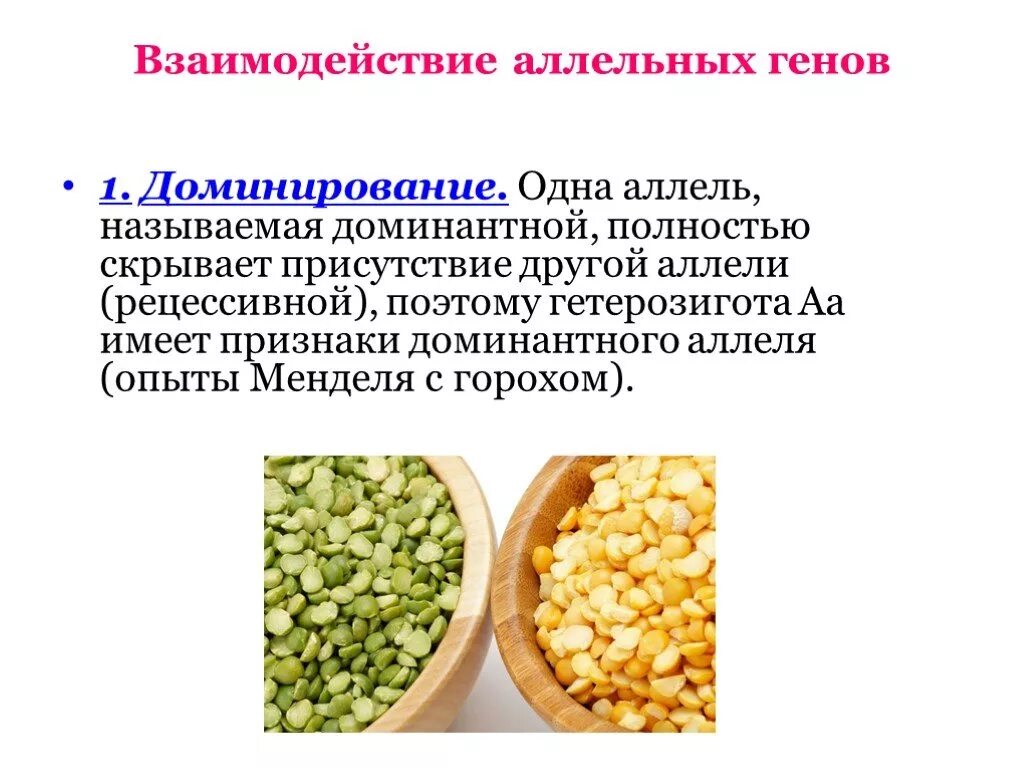 Взаимодействие аллельных генов. Формы взаимодействия аллельных генов. Если доминантный аллель полностью скрывает. Аллель, обуславливающий проявление доминантного признака называют:. Действие аллельных генов