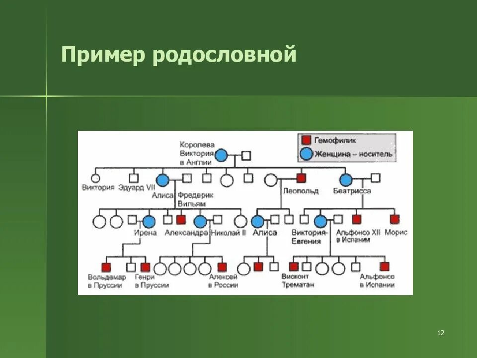 Генетика деревьев. Схема родословной генетика примеры. Родословная составление генетика. Генеалогическое деревогенетика. Генеалогическое Древо медицинская генетика.