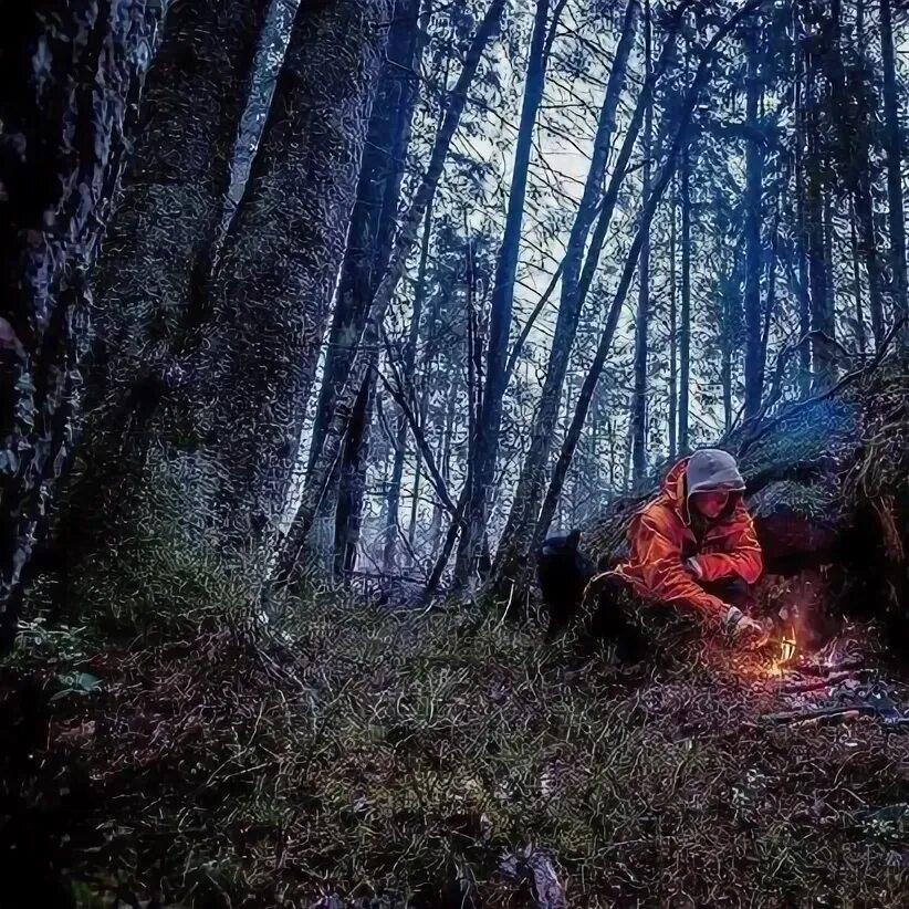Бушкрафт кемпинг в лесу. Бушкрафт убежище в лесу. Бушкрафт сибирь. Дети туристы. Survive the camp.