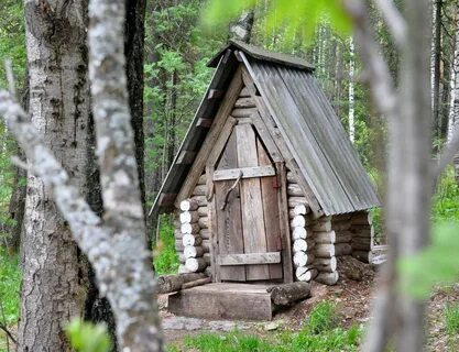 Лесной кардон
