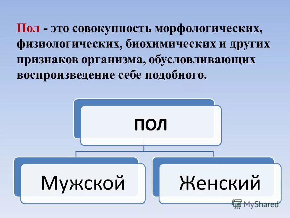 Совокупность морфологических и физиологических. Физиологические признаки пола. Пол это совокупность свойств и признаков организма обеспечивающих. Морфологические особенности организма. Первичные половые признаки.