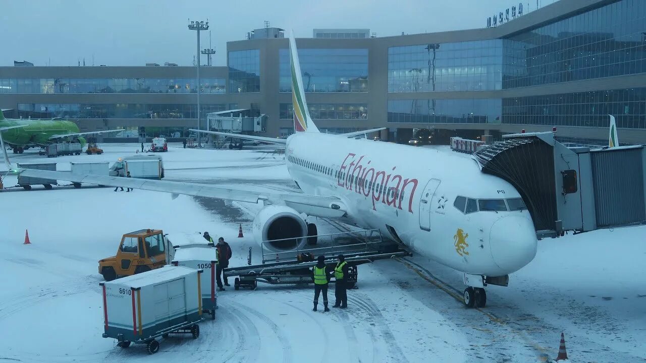 Ethiopian airlines рейс. Самолеты Эфиопиан Эйрлайнс. Boeing 737 Ethiopian. Boeing 737-800 Ethiopian Airlines. Ethiopian Airlines 737-800.