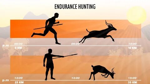 File:Endurance hunting timelapse.jpg. 